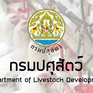 กรมปศุสัตว์ เปิดรับสมัครพนักงานราชการทั่วไป 1 อัตรา สมัครด้วยตนเอง ตั้งแต่วันที่ 8-20 กันยายน 2564