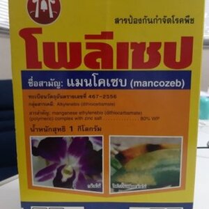 แมนโคเซบ (Mancozeb 80%WP) "โพลีเซป"