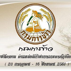 กรมการข้าว เปิดรับสมัครสอบเพื่อบรรจุบุคคลเข้ารับราชการ จำนวน 4 อัตรา รับสมัครทางอินเทอร์เน็ต ตั้งแต่วันที่ 23 กรกฎาคม - 16 สิงหาคม 2561