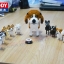 Balody 16045 Beagle 10 in 1 1800pcs