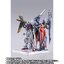 PRE-ORDER : METAL BUILD Sword Striker