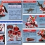 SD BB248 Gundam Astray Red Frame by Bandai