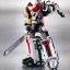 Super Robot Chogokin Dekaranger Robo by Bandai