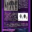 METAL BUILD Gundam Astraea TYPE-X Finsternis by Premium Bandai (Lot JP มีกล่องน้ำตาล)