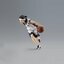 PRE-ORDER : HG Ahiru no Sora - Kenji Natsume