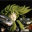 Saint Seiya Saint Cloth Myth Aries Shion Surplice & Grand Pope Shion by Bandai Tamashii 2008 Exclusive