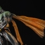 S.I.C Vol.63 Masked Rider Gills and Masked Rider Another Agito by Bandai