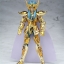 Saint Seiya Saint Cloth Myth Aquarius Camus by Bandai