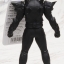 Masked Rider Zero-One - RHS 07 Kamen Rider Zero-One Shining Assault Hopper by Bandai