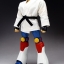 Fewture EX Gokin Juohmaru Modeling Color Ver.