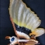 Godzilla - Movie Monster Series - Mothra 2004 Movie Theater Limited Edition 15” by Bandai