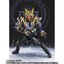 PRE-ORDER : S.H.Figuarts Kamen Rider Na-go Fantasy Form