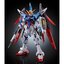 PRE-ORDER : RG 1/144 Destiny Gundam [Titanium Finish] [Resale]