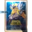 Saint Seiya - Metal Plate - Bronze Saint - Cygnus Hyoga by Bandai