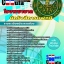 b41a17 - นักรังสีการแพทย์ โรงพยาบาล