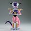 Pre-order : DRAGON BALL Z