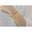 PRE-ORDER : Kamen Rider Build Misora Isurugi Bangle