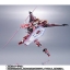 PRE-ORDER : METAL ROBOT SPIRIT SIDE MS INFINITE JUSTICE GUNDAM