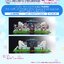 PRE-ORDER : Love Live! Sunshine!! Uranohoshi Girls' High School Store Live Stage Acrylic Diorama Aqours 2nd LoveLive! HAPPY PARTY TRAIN TOUR