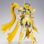 Saint Seiya Saint Cloth Myth EX Aquarius Camus (God Cloth) by Bandai