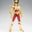Saint Seiya Saint Cloth Myth Pegasus Seiya V2 Power of Gold by Bandai