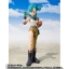 PRE-ORDER : S.H.FIGUARTS BULMA