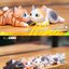Blind Box ชุดน้องแมวนอน ได้1ตัว - Where’s The Miaow First Note Cat by Actoys (Set of 6 + 1secret)