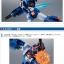 PRE-ORDER : THE ROBOT SPIRITS ＜SIDE MS＞PERFECT GUNDAM II (FULL ARMOR TYPE) ver. A.N.I.M.E.