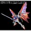 PRE-ORDER : RG 1/144 Destiny Gundam Effect Unit Wing of Light Plastic Model