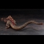 PRE-ORDER : CHO-GEKIZO SERIES GODZILLA (2016) THE SECOND FORM PVC FIGURE