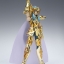 Saint Seiya Saint Cloth Myth Aquarius Camus by Bandai