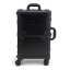PRE-ORDER : Heisei Kamen Rider 20th Work Commemoration Suitcase