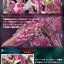 PRE-ORDER : RG 1/144 The Gundam Base Limited 00 QAN[T] Full Saber [TRANS-AM Clear] Plastic Model