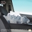 PRE-ORDER : Godzilla Tissue case / Mothra Larva Tissue Paper Roll Case