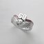 PRE-ORDER : Kamen Rider Drive -COMBINATION RING- Go Shijima & Chase SILVER925 Ring