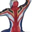 ULTRAMAN GAIA HERO'S BRAVE STATUE FIGURE ULTRAMAN GAIA (SUPREME・VERSION) NIGHT COLOR EDITION by Banpresto