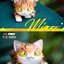 Blind Box ชุดน้องแมวนอน ได้1ตัว - Where’s The Miaow First Note Cat by Actoys (Set of 6 + 1secret)