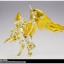 Saint Seiya Saint Cloth Myth EX - Sagittarius Aiolos ( God Cloth)