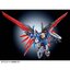 PRE-ORDER : RG 1/144 Destiny Gundam [Titanium Finish] Plastic Model