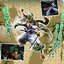 PRE-ORDER : Portrait.Of.Pirates One Piece “Warriors Alliance” Zorojuro