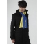 PRE-ORDER : Kamen Rider W WIND SCALE Muffler