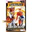 Masked Rider Zero-One - RKF Legend Rider Series Kamen Rider Valkyrie Rushing Cheetah by Bandai