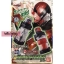 Masked Rider Build - DX Rhinoceros Dryer Full Bottle Set by Banda
