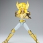 Saint Seiya Saint Cloth Myth Cygnus Hyoga Power of Gold by Bandai