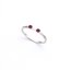 PRE-ORDER : Kamen Rider W Shotaro Hidari & Philip Eternal Partners Ring Set