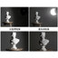 GL15 Glove Light Ball Diffuser Dome Softbox Studio Bowens Mount 15cm โคมบอลกลมสำหรับไฟสตูดิโอ