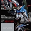 PRE-ORDER : MG 1/100 PERFECT STRIKE GUNDAM SPECIAL COATING VER. PLASTIC MODEL