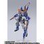 PRE-ORDER : METAL BUILD Gundam Astray Blue Frame Second Revise