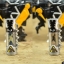 Zyuden Sentai Kyoryuger DX Judenryu 02 Parasagun by Bandai