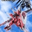 PRE-ORDER : METAL ROBOT SPIRIT SIDE MS INFINITE JUSTICE GUNDAM